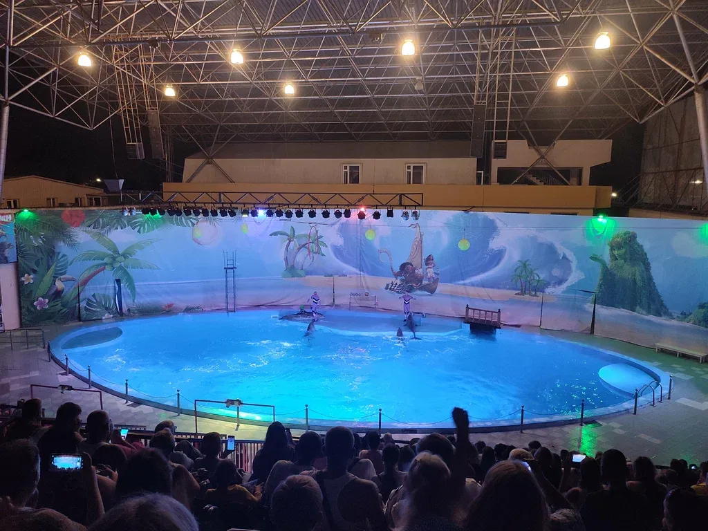 delfin3