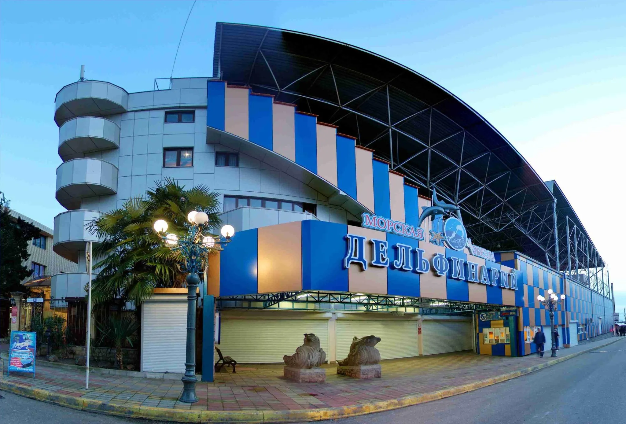 delfin4