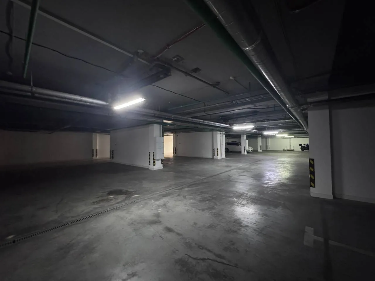 parking1 (1)